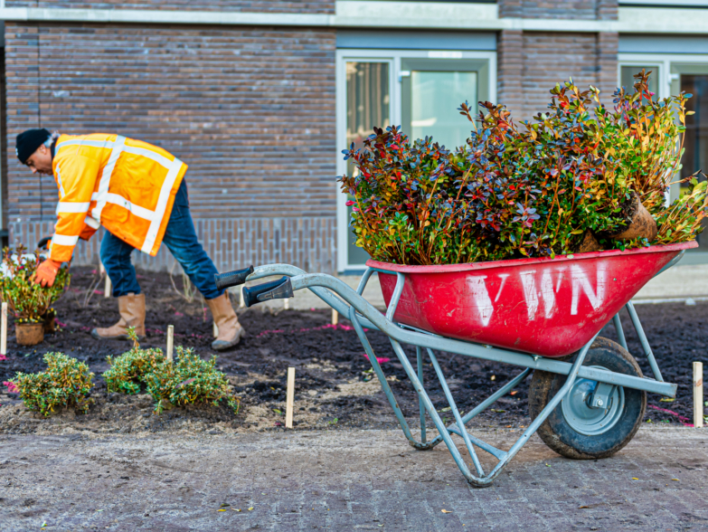 Van Wijk Groen